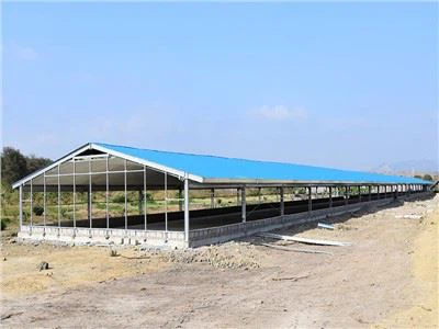 automatic chicken house