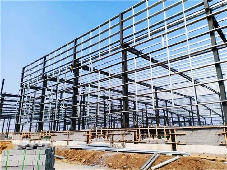 Customzied Warehouse- Workshop Design Style